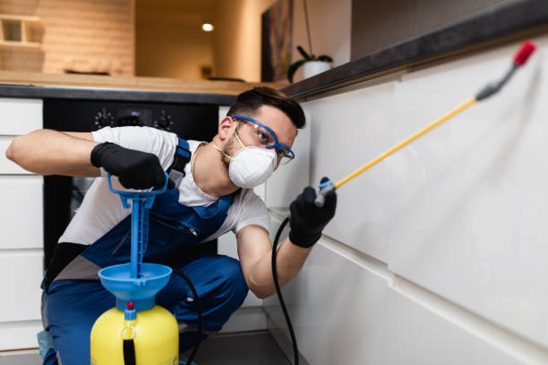 Best Ant Control Services  in Georgetown, IL