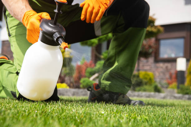 Best Cockroach Control Services  in Georgetown, IL