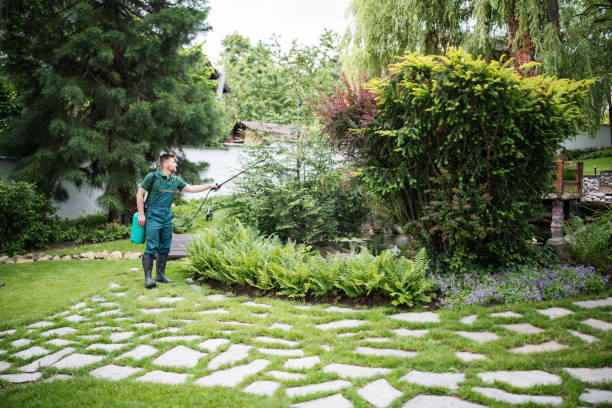 Trusted Georgetown, IL Pest Control Experts