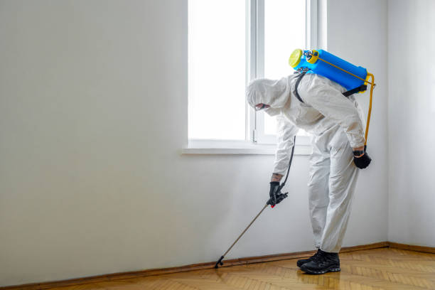 Best Pest Control Near Me in Georgetown, IL