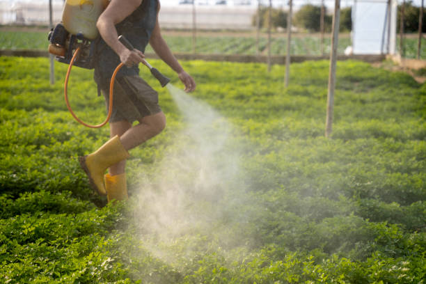 Best Affordable Pest Control Services  in Georgetown, IL