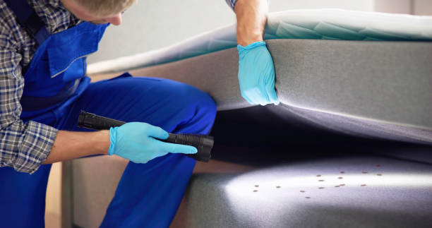 Best Wasp Removal Services  in Georgetown, IL