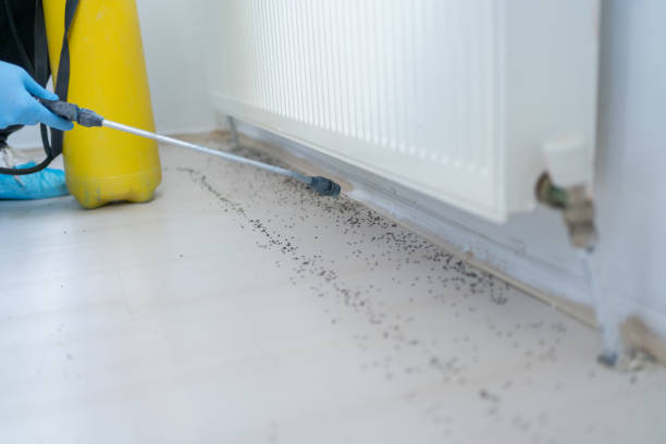 Best Residential Pest Control  in Georgetown, IL